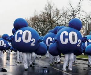 碳排放交易所被指三年无交易 表面风光实际亏损