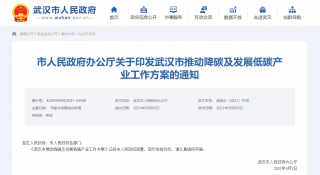 推动将建筑纳入碳排放权交易范围！武汉市推动降碳及发展低碳产业工作方案公布