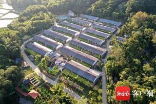海南绿色金融步入发展“快车道”绿色信贷余额517.83亿元