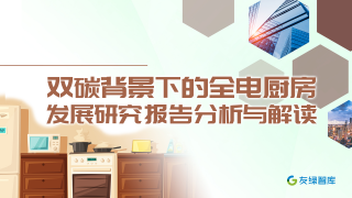 双碳背景下全电厨房发展行业研究